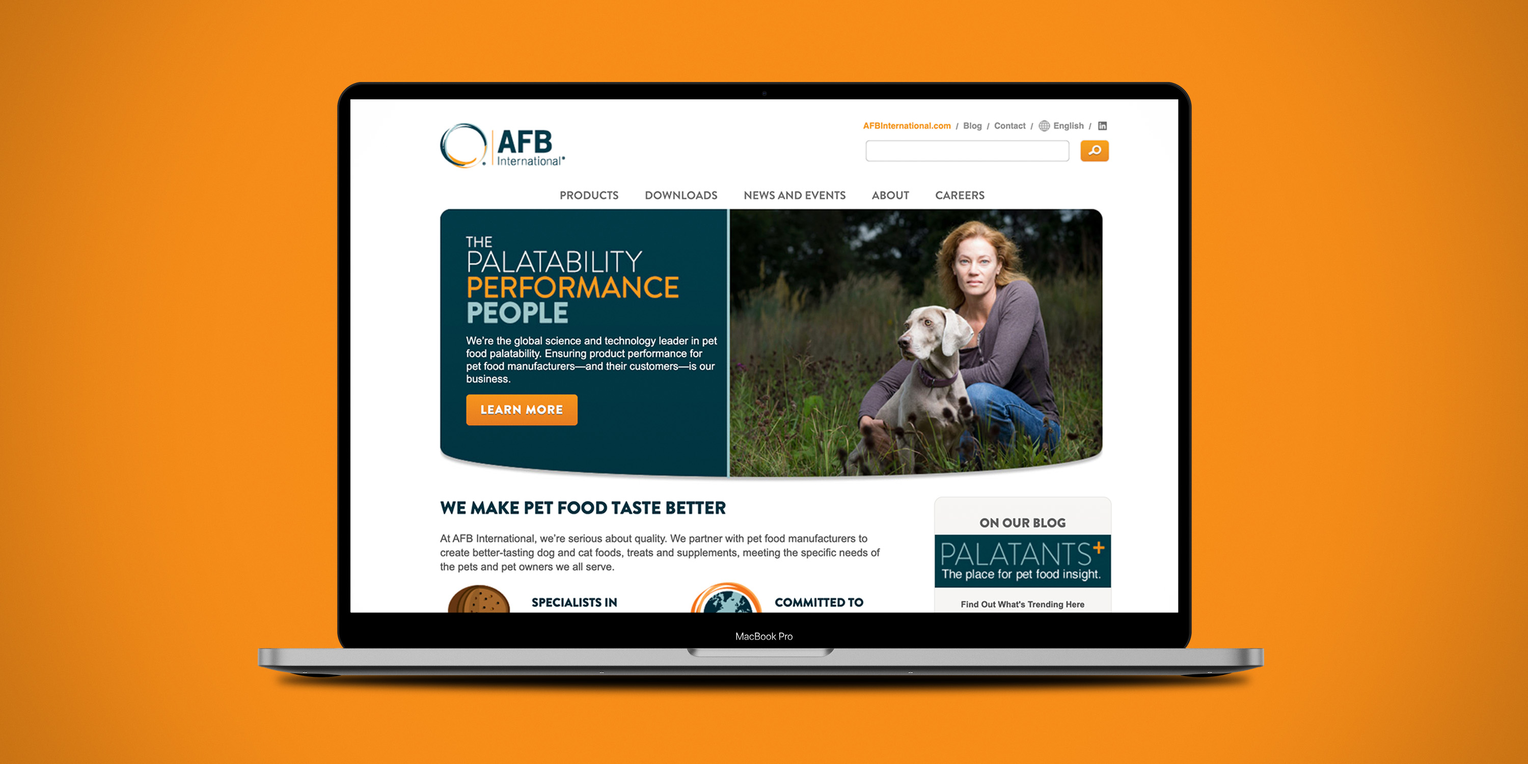 Website Design